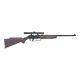 Photo 1 of Daisy Powerline Model 880 Black Pellet/BB Air Rifle with Scope