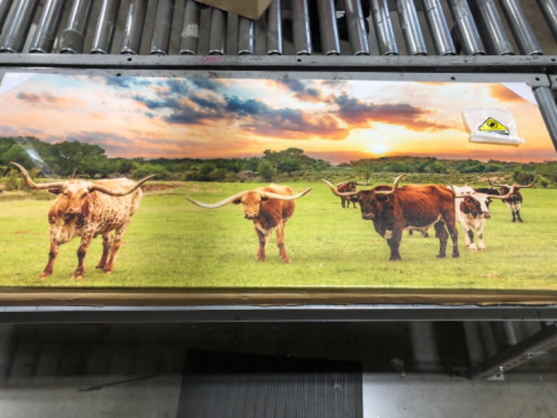 Photo 2 of Conipit Texas Animal Canvas Wall Art Longhorn Canvas Pictures Highland Cattle in Sunset Art Prints Texas Farm Painting for Home Living Room Bedroom Decor Framed Ready to Hang 20''x48''