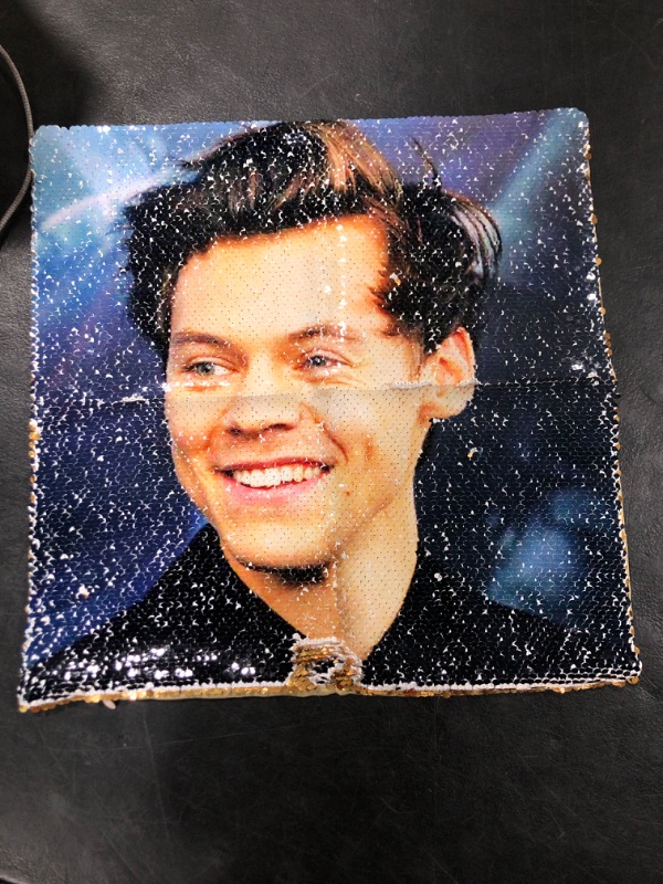 Photo 1 of 15 X 15 Harry Styles pillow case. Gold