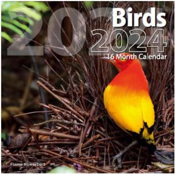 Photo 1 of 2024 Birds Full Size Wall Calendar for Planning, Scheduling, and Organizing 