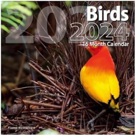 Photo 1 of 2024 Birds Full Size Wall Calendar for Planning, Scheduling, and Organizing