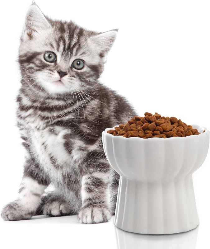 Photo 1 of 
Jemirry Ceramic Cat Food Bowls