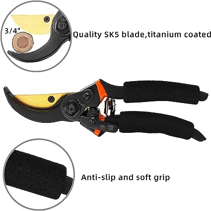 Photo 1 of  Pruning Shears