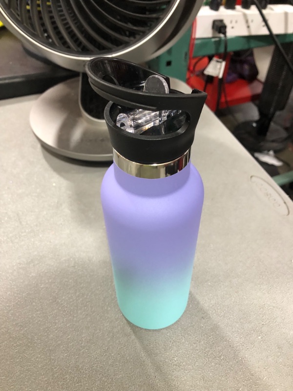 Photo 1 of 17oz Water Bottle (Purple, Blue)