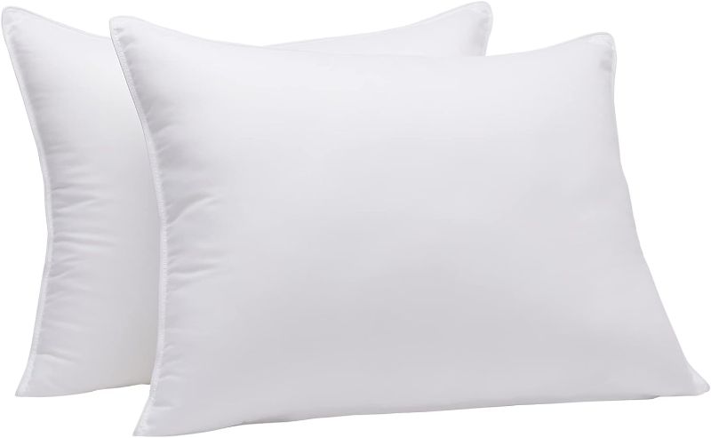 Photo 1 of 2 Pillows (White)