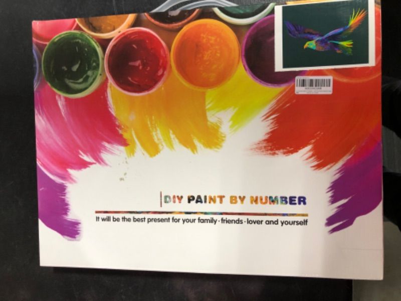 Photo 3 of -Funclub Paint by Numbers Kits for Kids Adults Beginner, DIY Acrylic Oil Painting On Canvas,16 x 20 inch Colorful Lanneret