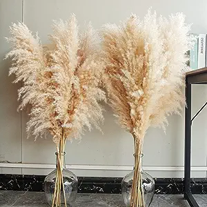 Photo 1 of 10 Stems Natural Pampas Grass Decor Tall,