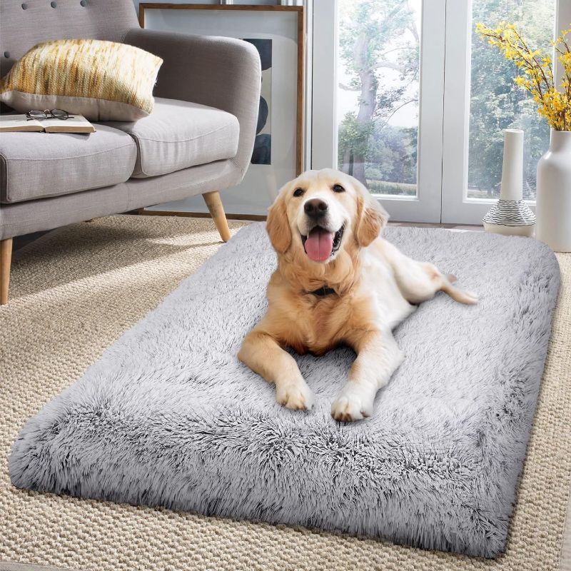 Photo 1 of aimseal dog bed