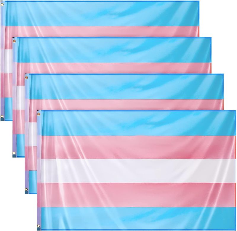 Photo 1 of 4 Pcs 3 x 5 ft Pride Flag LGBT Pride Month Parade Flags Transgender Flag Bisexual Flag Pansexual Flag with Canvas Header and Brass Grommets (Bright Colors)
