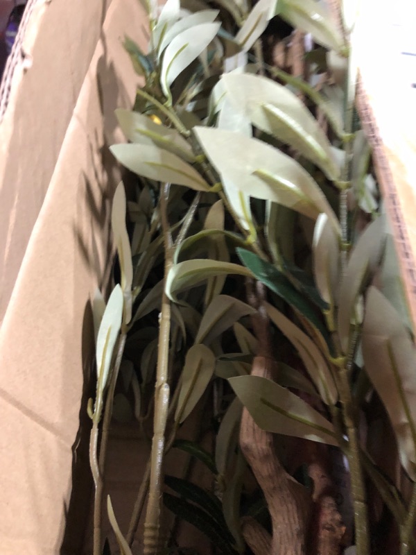 Photo 1 of Bellacat Faux Olive Tree 6ft?Olive Trees Artificial Indoor with Natural Wood Trunk and Realistic Leaves and Fruits. 6 Feet(72in) Fake Olive Tree for Home House Office Décor. 1 6ft-1pack