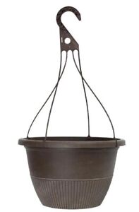 Photo 1 of 12 in. Rene Bark Brush Plastic Hanging Basket 18 Pack 
