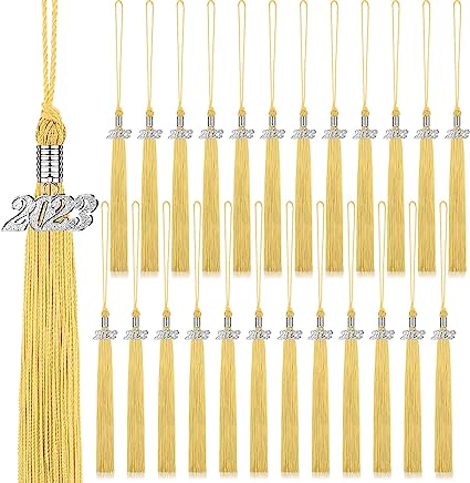 Photo 1 of 24 Pieces Graduation Tassels with 2023 Year Date Charms Grad Graduation Cap Tassel Graduation Hat Decoration for 2023 Graduation Gifts Party Activities, 16.2 Inch (Gold, Silver) 2 pack 48 total 
