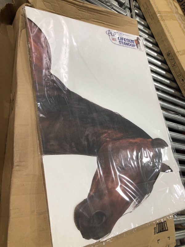 Photo 1 of Advanced Graphics Horse Life Size Cardboard Cutout Standup Horse 2