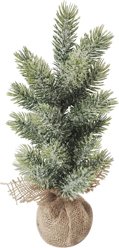 Photo 1 of 11.75" Frosted ICY Pine Tree in Burlap Base Christmas Decoration