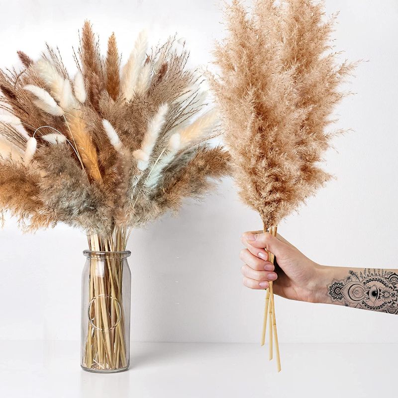 Photo 1 of 120 Pcs Dried Pampas Grass Decor, Bunny Tails Pampas Grass, Pampas Grass Decor Tall, Small Pompas Grass Decor - Faux Pampas Grass, Pampass Grass Bulk, Dried Pampas Grass Bouquet 