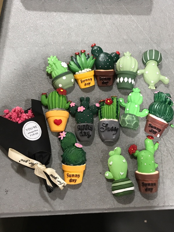 Photo 1 of 13 PCS CACTUS MAGNETS