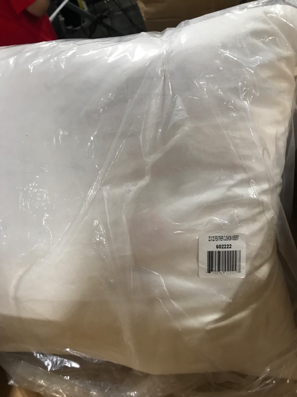 Photo 2 of  Premium Feather Throw Pillow Insert, 22" x 22"