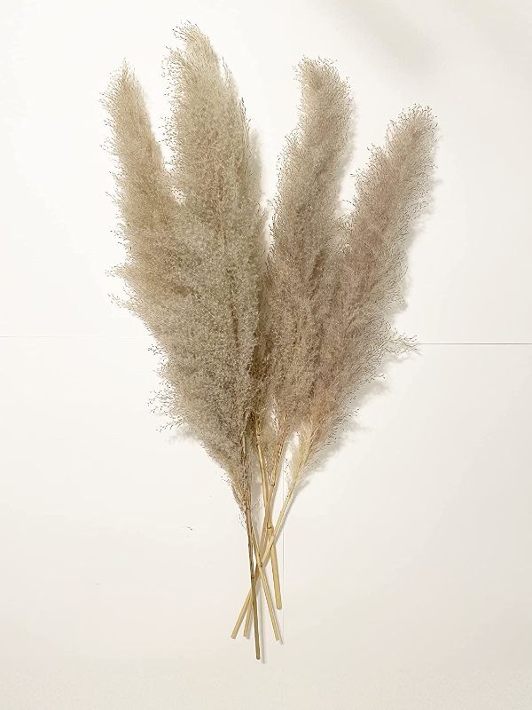 Photo 1 of  5 PCS Fluffy Grey Naturally Dried Pampas Grass Vase filler