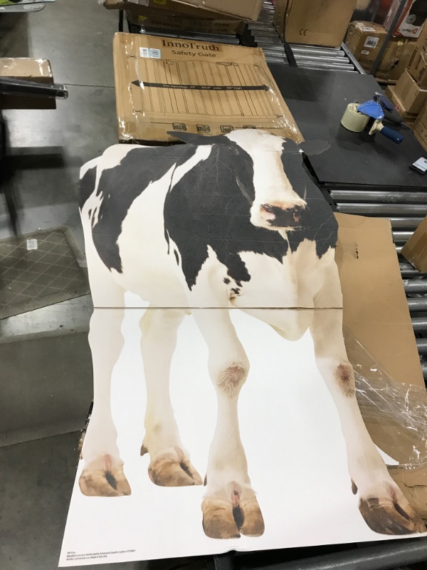 Photo 2 of Advanced Graphics Cow Life Size Cardboard Cutout Standup