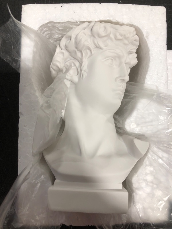 Photo 2 of MIRCTRI 6.5” Greek Statue of David Vase, Indoor and Outdoor Resin Flower Pot, Sculpture Brush Holder Bust, Art Decoration Sculpture, Suitable for Home and Garden, Cosmetic Pen Holder Home Decoration. 