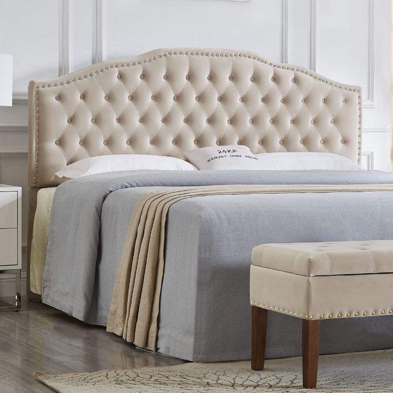 Photo 1 of 24KF Upholstered Button Tufted King Size Headboard with Nailhead Trim, Soft Velvet Fabric Headboard King/Cal King Headboard-Taupe 