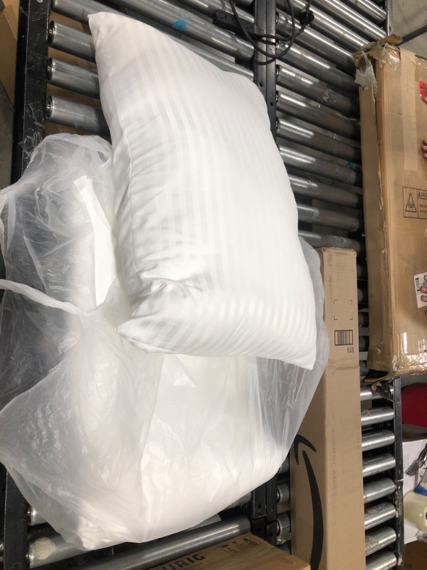 Photo 1 of 26 x 16 Two Pillows