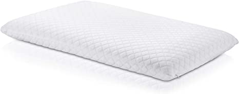 Photo 1 of 17 X 25" MEMORY FOAM PILLOW 