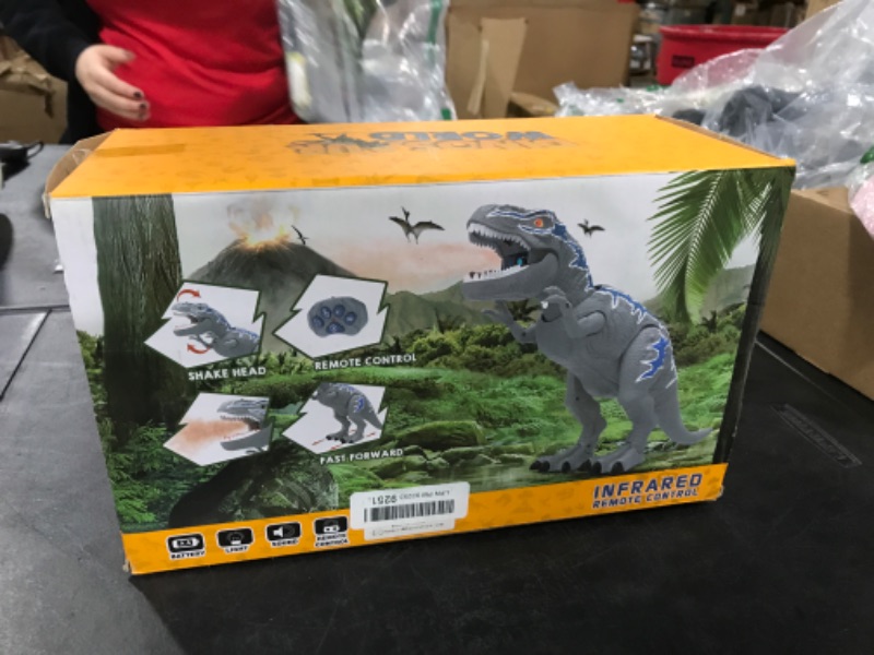 Photo 1 of FANURY Remote Control Dinosaur Toys for 3-12 Year Old Boys Girls