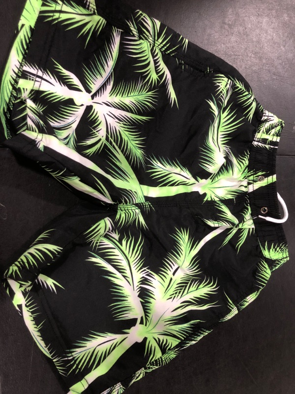 Photo 1 of Boys Swimming Trunks Size 9-10T