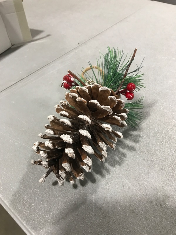 Photo 2 of 1 White Rustic Pinecone Christmas Hanging Ornaments