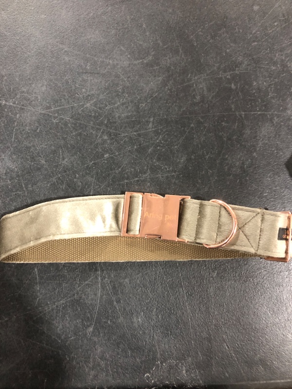 Photo 1 of ARING PET Dog Collar and Leash