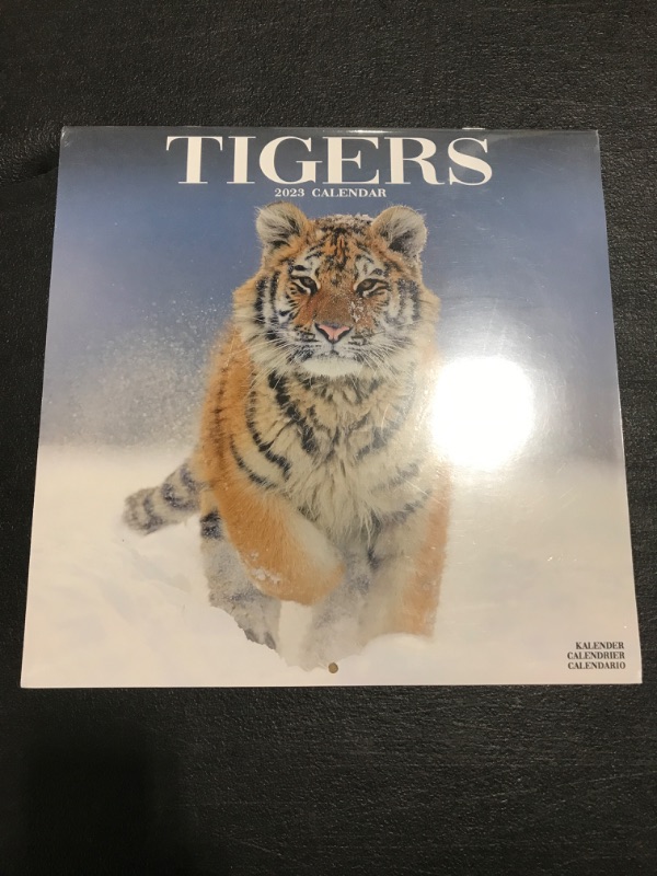 Photo 2 of Tiger Calendar - Calendars 2022 - 2023 Wall Calendars - Animal Calendar - Tigers 16 Month Wall Calendar by Avonside