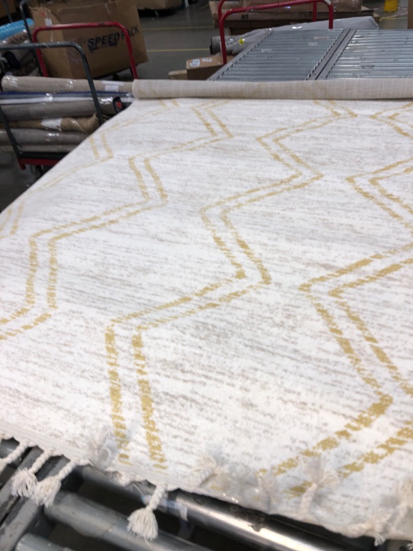 Photo 1 of 87x63rug