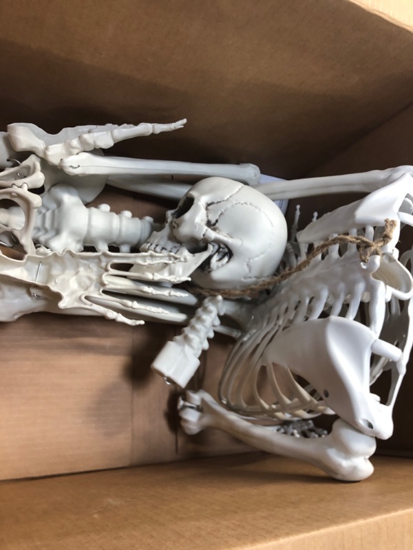 Photo 1 of 5.4Ft/165cm Halloween Skeleton Full Body Life Size Human Bones with Movable Joints for Indoor Outdoor Halloween Props Decorations
