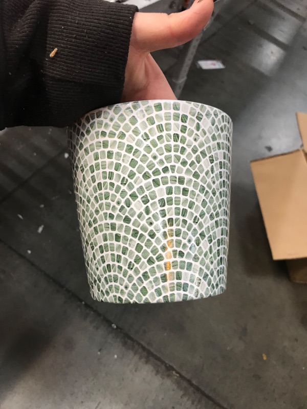 Photo 1 of 6pck of 5.5'' green pattern designed pot 