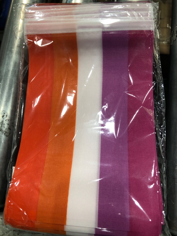 Photo 1 of *2 12 PACKS*  Pride Flag Small Mini Hand Held LGBT Rainbow Flags,5x8 Inch,24 Pack
