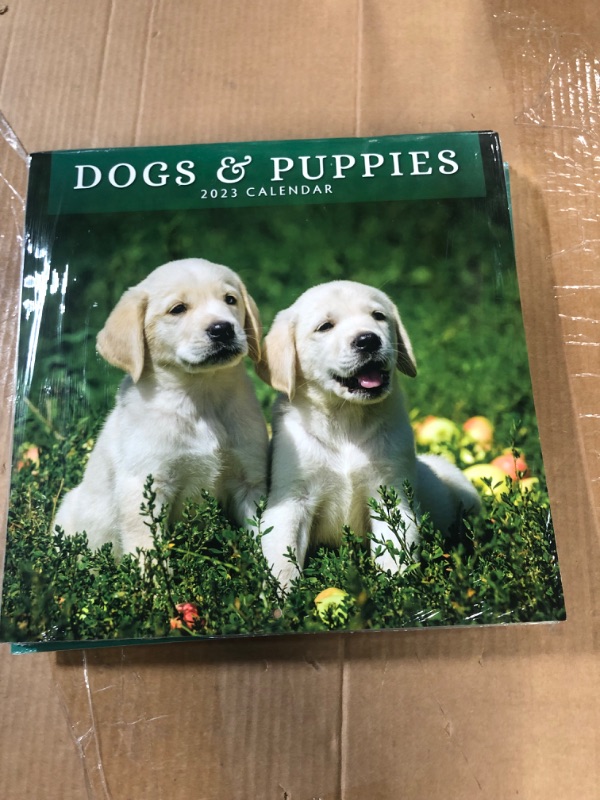 Photo 1 of 2023 Dogs & Puppies Monthly Wall Calendar by Red Robin Calendars 12" x 12"