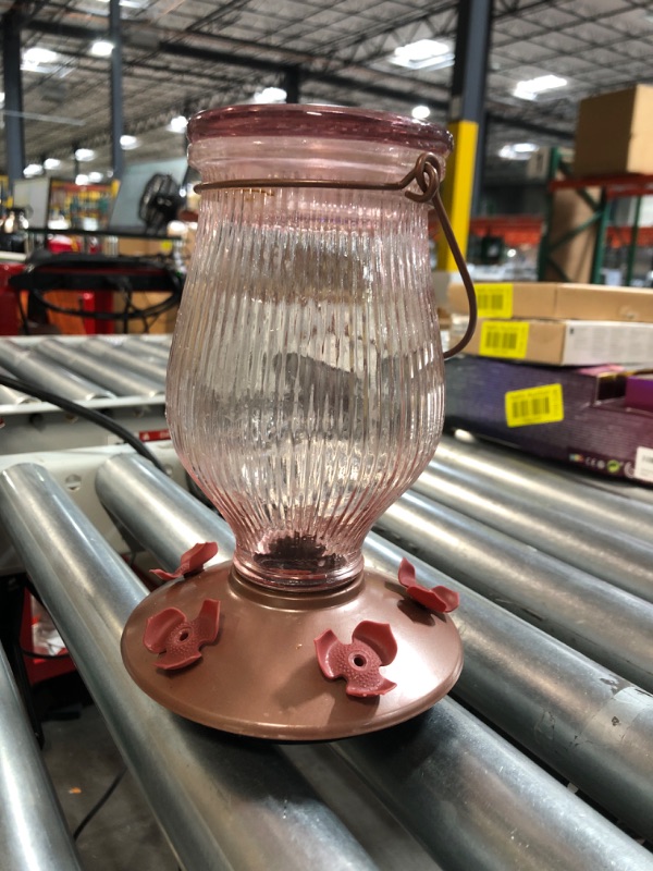 Photo 1 of **SEE NOTES**  More Birds Amethyst Jewel Hummingbird Feeder, Glass