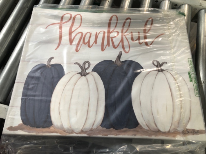 Photo 2 of **damaged*** Stupell Industries Autumn Farm Pumpkin Harvest with Thankful Phrase Wall Art, 16 x 20, Off- White Gallery Wrapped Canvas 16x20