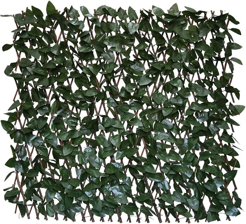 Photo 1 of  Ivy Fencing Panel (Single Sided Leaves) (1, Dark Green) Unknown Size, Large Piece