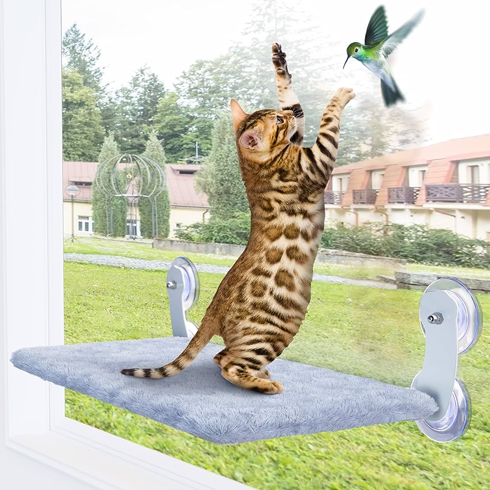 Photo 1 of Cat Window Hammock