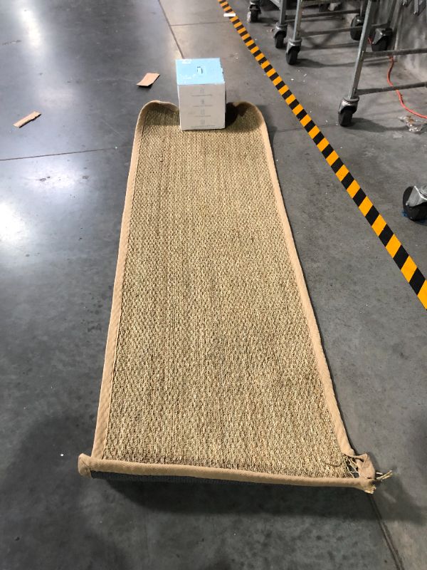 Photo 1 of ***DAMAGED/FRAYED - SEE PICTURES***
nuLOOM Elijah Farmhouse Seagrass Area Rug 2' 6" x 8' Beige