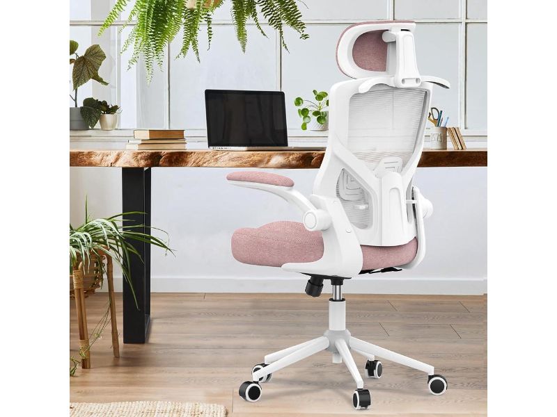 Photo 1 of FOKESUN Ergonomic Office Chair (Pink)