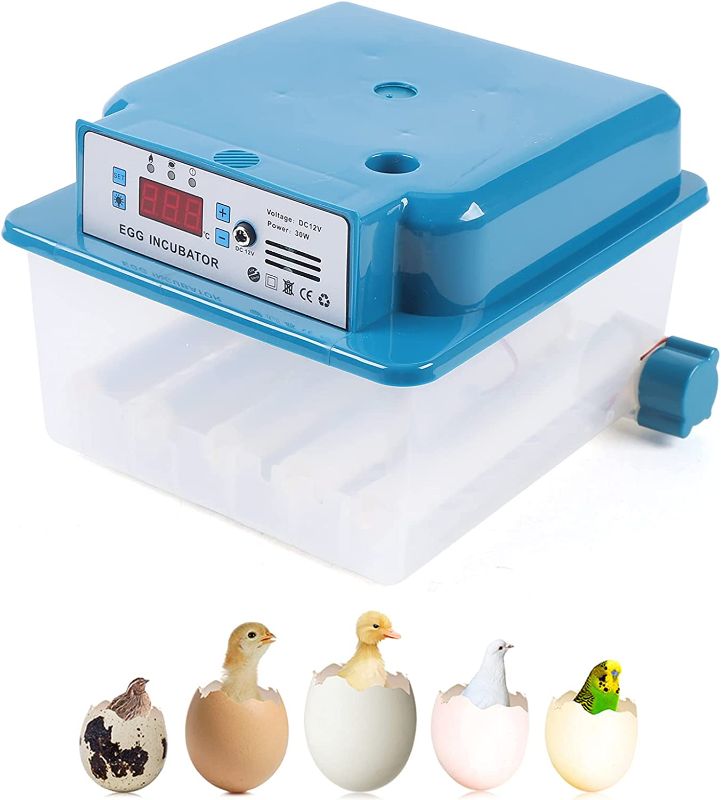 Photo 1 of 16 Automatic Egg Incubator,Digital Egg Incubator Hatcher w/Temperature Humidity Controller,Automatic Hatch Chicken Duck Egg Turner?Incubator for Chicken Eggs
Chicken, Pigeon