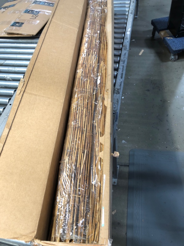 Photo 1 of 6 FT Coffee reed fencing 