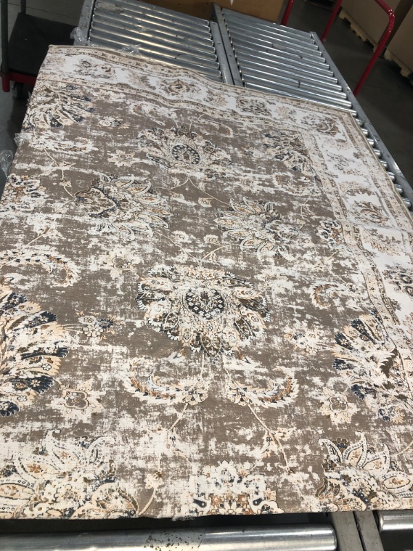 Photo 1 of 8x10 ft area rug