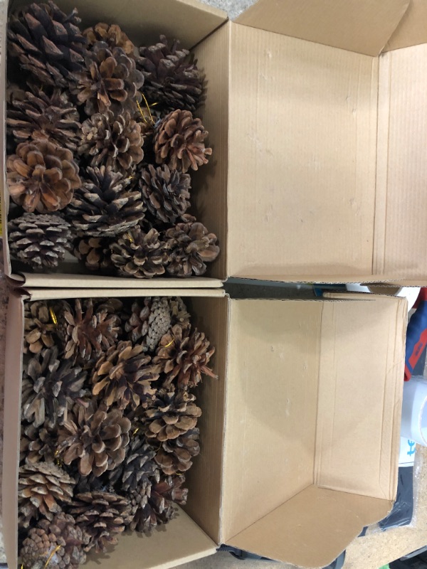 Photo 2 of 2 pack- JOHOUSE 24PCS PineCones, Natural PineCones Package, PineCones Ornaments for Christmas Autumn and Winter Crafts Decorating, 1.9-2.5inches