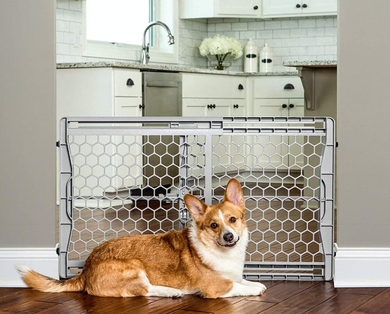 Photo 1 of Carlson Pet Products Easy Fit Plastic Adjustable Pet Gate, Fits Openings 28-42" Wide, Includes Rubber Pads to Protect Walls
