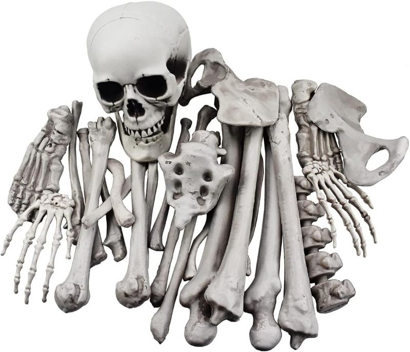 Photo 1 of 28 Pieces Skeleton Bones and Skull for Halloween Decor or Spooky Graveyard Ground Decoration