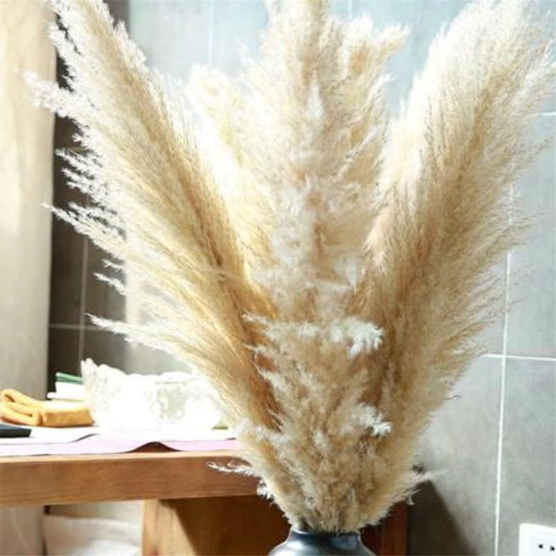 Photo 1 of 80Cm Natural Dried Pampas Grass Decor Fluffy Dry Boho Wedding Flower Arrangement Living Home Pampas Bouquet Floral Decorations 80cm Beige Color 10 Pcs
